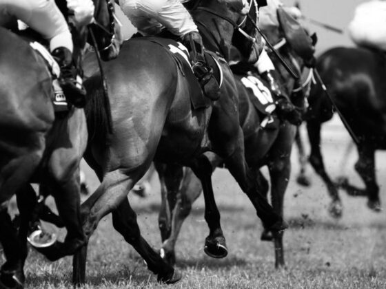 3 tote Pferde: Rabenschwarzer Tag für den britischen Rennsport. @ Shutterstock