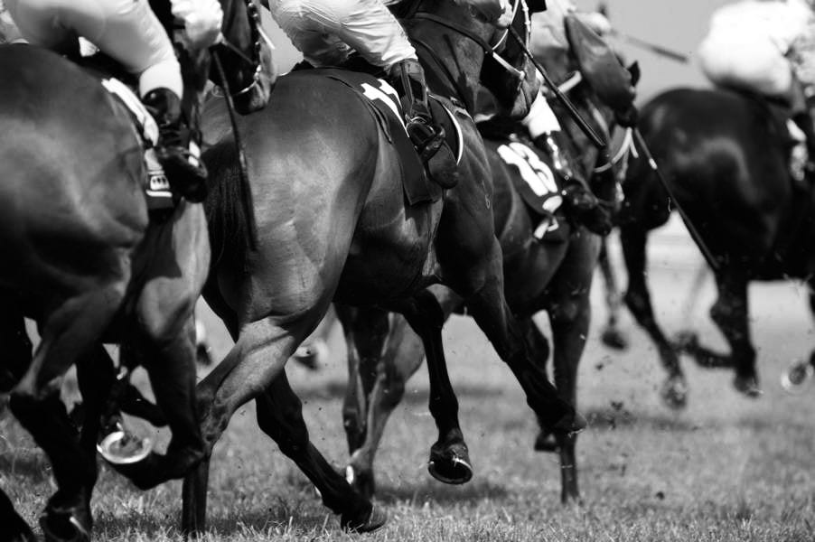3 tote Pferde: Rabenschwarzer Tag für den britischen Rennsport. @ Shutterstock