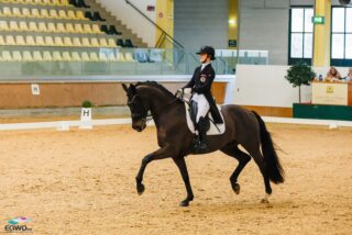 May we present: Fürst Charmeur PS OLD! Anna Schwarzlmüller-Kröpfels Wallach wurde vom Oldenburger Verband ausgezeichnet. © EQWO.net | Petra Kerschbaum