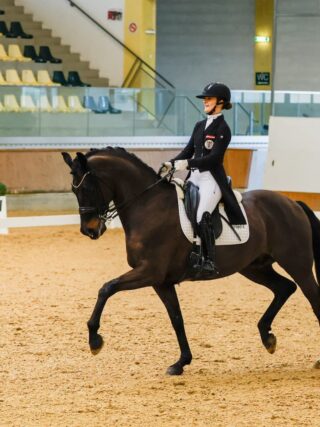 May we present: Fürst Charmeur PS OLD! Anna Schwarzlmüller-Kröpfels Wallach wurde vom Oldenburger Verband ausgezeichnet. © EQWO.net | Petra Kerschbaum