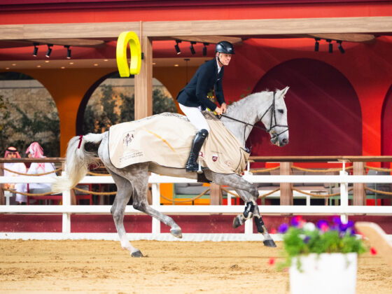 Max Kühners (T) neuester Zugang Greece wird ohne Stirnriemen geritten und sprang direkt zum Sieg über 150cm! © Doha Equestrian Tour | Lukas Kowalski