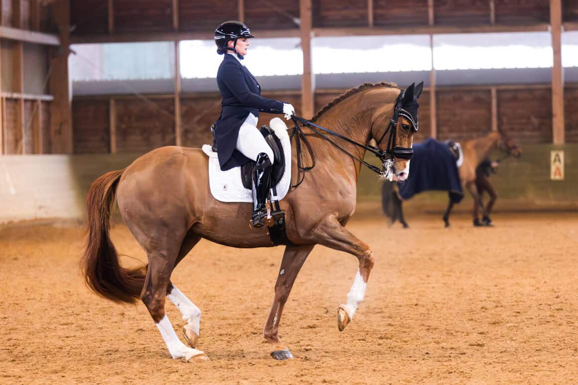 Comeback und Debüt in einem: Diana Porsche (S) und Imhotep gewinnen den nationalen Grand Prix von Stadl-Paura mit über 72 %. © Alice Benes