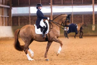 Comeback und Debüt in einem: Diana Porsche (S) und Imhotep gewinnen den nationalen Grand Prix von Stadl-Paura mit über 72 %. © Alice Benes