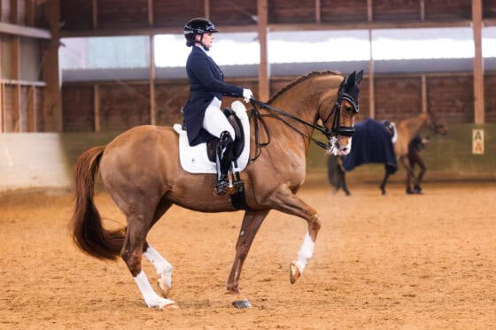 Comeback und Debüt in einem: Diana Porsche (S) und Imhotep gewinnen den nationalen Grand Prix von Stadl-Paura mit über 72 %. © Alice Benes