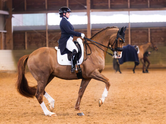 Comeback und Debüt in einem: Diana Porsche (S) und Imhotep gewinnen den nationalen Grand Prix von Stadl-Paura mit über 72 %. © Alice Benes