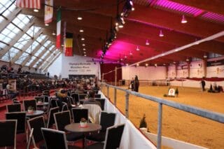 Schock in München-Riem! Ponys wurden in der Nacht Mähnen und Schopf geschnitten, das Turnier wurde abgebrochen. © FB: Pferd International München