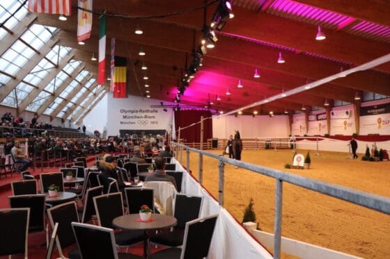 Schock in München-Riem! Ponys wurden in der Nacht Mähnen und Schopf geschnitten, das Turnier wurde abgebrochen. © FB: Pferd International München