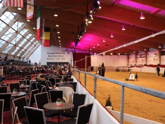 Schock in München-Riem! Ponys wurden in der Nacht Mähnen und Schopf geschnitten, das Turnier wurde abgebrochen. © FB: Pferd International München