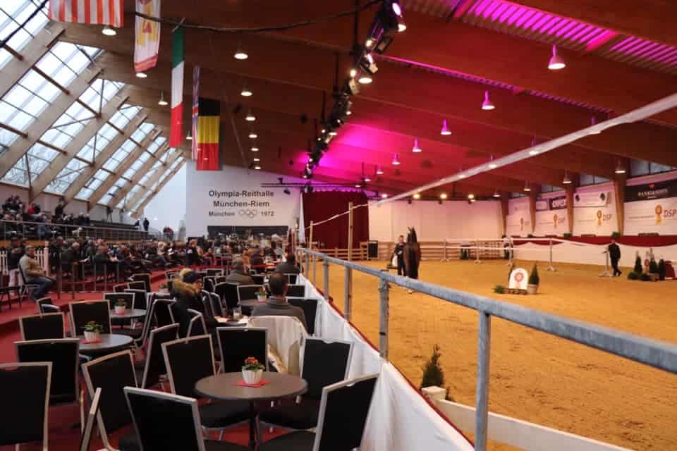 Schock in München-Riem! Ponys wurden in der Nacht Mähnen und Schopf geschnitten, das Turnier wurde abgebrochen. © FB: Pferd International München