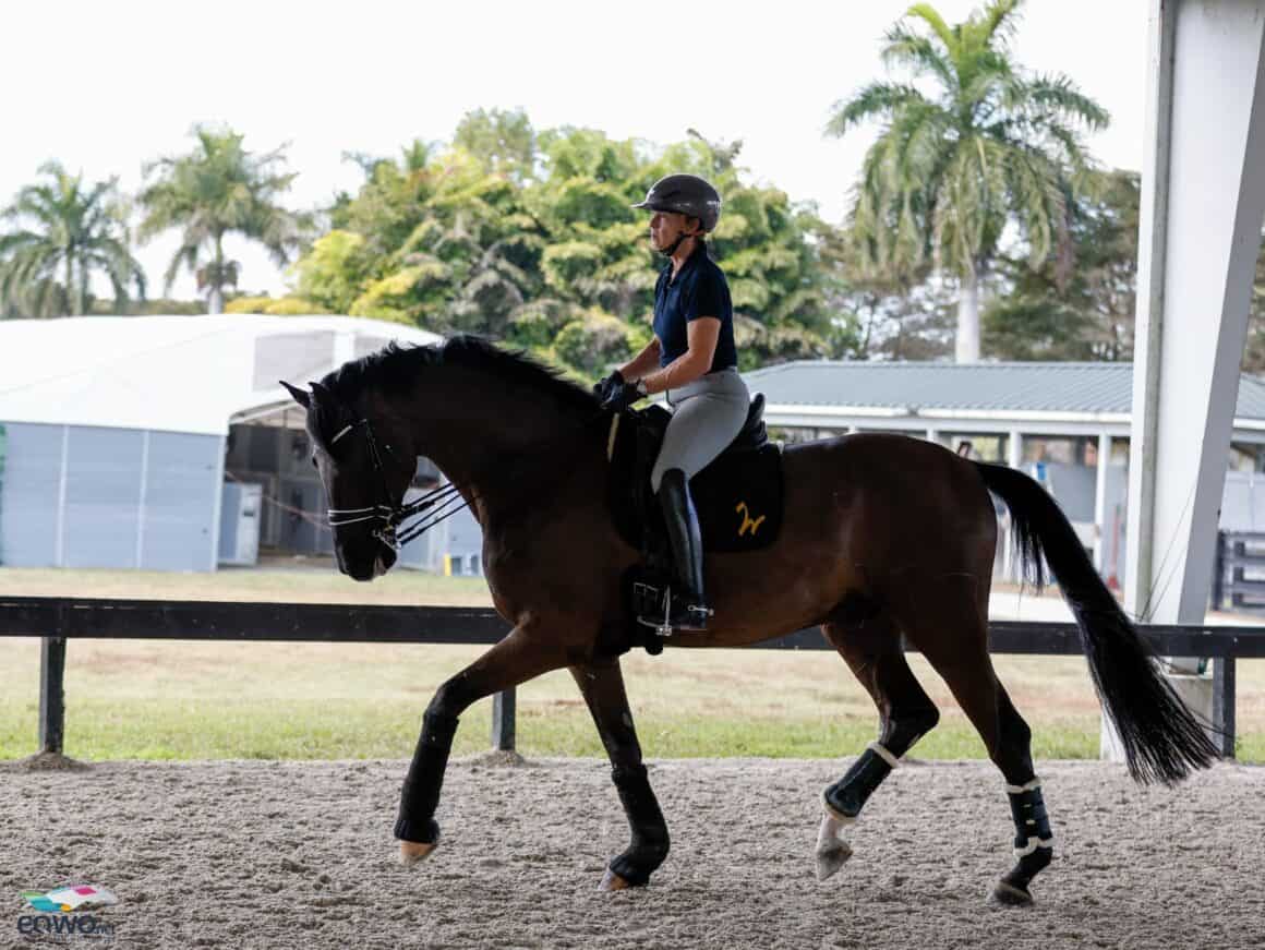 Isabell Werth (GER) genießt mit Special Blend ein Training unter Palmen, bevor am Wochenende das CDI3* Wellington ansteht. © EQWO.net | Petra Kerschbaum
