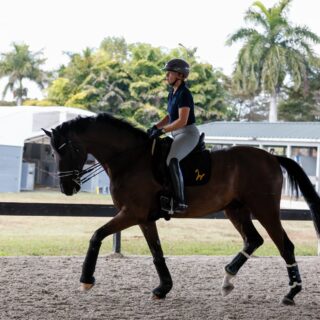 Isabell Werth (GER) genießt mit Special Blend ein Training unter Palmen, bevor am Wochenende das CDI3* Wellington ansteht. © EQWO.net | Petra Kerschbaum