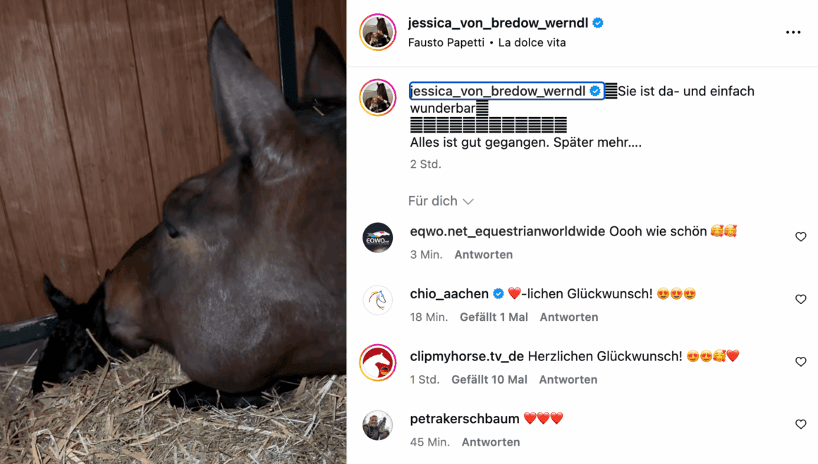 Dalera BB ist Mama eines kleinen Stutfohlens geworden! © IG: jessica_von_bredow_Werndl