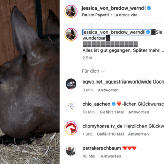 Dalera BB ist Mama eines kleinen Stutfohlens geworden! © IG: jessica_von_bredow_Werndl