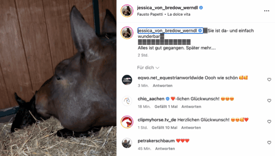 Dalera BB ist Mama eines kleinen Stutfohlens geworden! © IG: jessica_von_bredow_Werndl