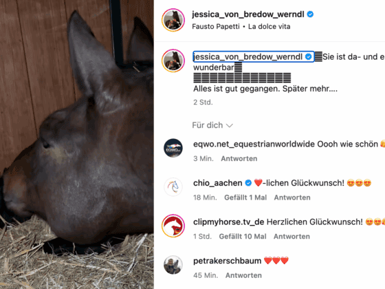 Dalera BB ist Mama eines kleinen Stutfohlens geworden! © IG: jessica_von_bredow_Werndl