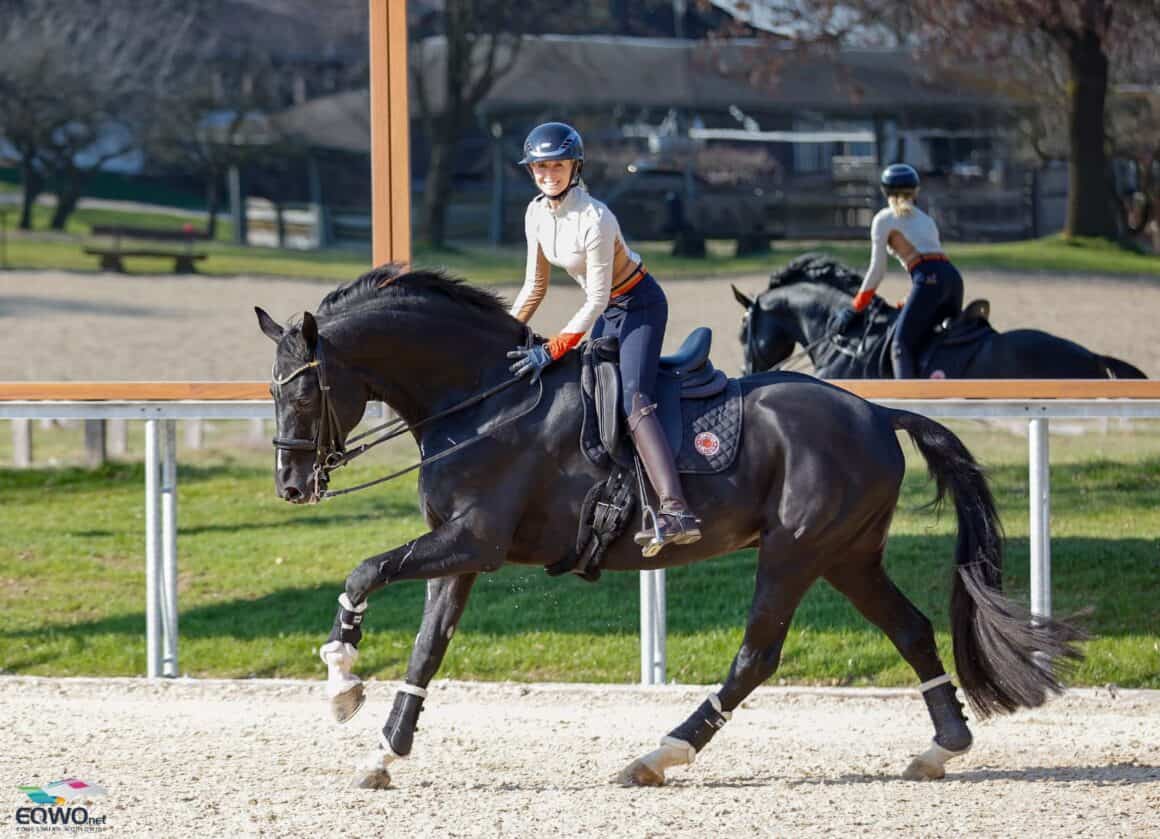 Dancier Gold FRH wurde im Hause Sprehe bis zur Königsklasse ausgebildet und soll nun unter der vierfachen Olympiasiegerin Jessica von Bredow-Werndl weiter wachsen. © EQWO.net | Petra Kerschbaum