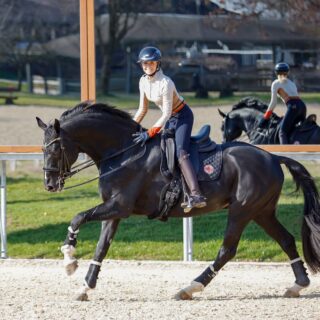 Dancier Gold FRH wurde im Hause Sprehe bis zur Königsklasse ausgebildet und soll nun unter der vierfachen Olympiasiegerin Jessica von Bredow-Werndl weiter wachsen. © EQWO.net | Petra Kerschbaum