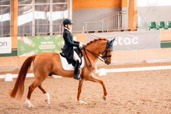 Die 16-jährige Anna Bruckberger (W) ist für zwei Altersklassen gesichtet und konnte mit zwei Pferden drei Siege in Ebreichsdorf feiern. © picturesbyhelene