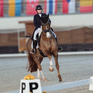 Diana Porsche (S) und Imhotep holten erstmals unter ungarischer Flagge zwei Siege! © Mam.Tvoje.Foto