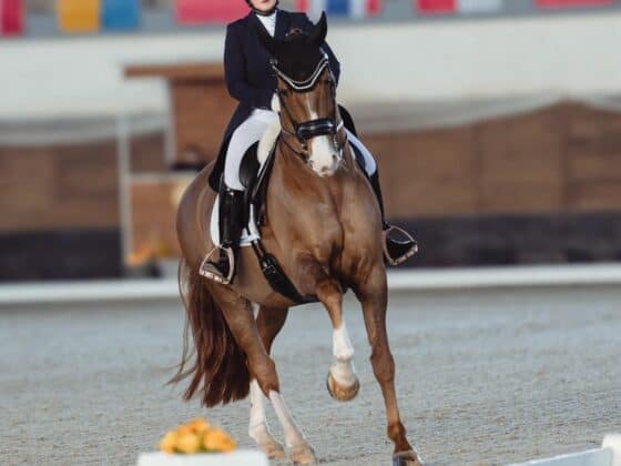 Diana Porsche (S) und Imhotep holten erstmals unter ungarischer Flagge zwei Siege! © Mam.Tvoje.Foto