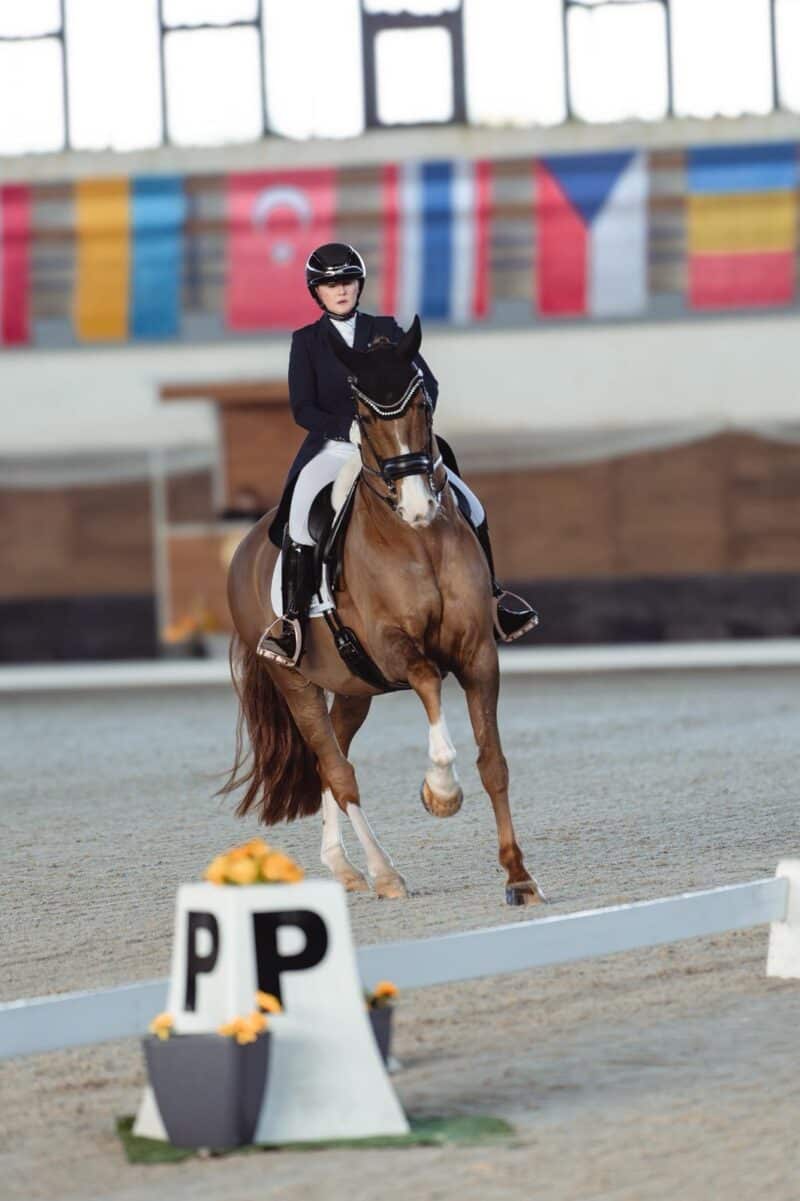 Diana Porsche (S) und Imhotep holten erstmals unter ungarischer Flagge zwei Siege! © Mam.Tvoje.Foto
