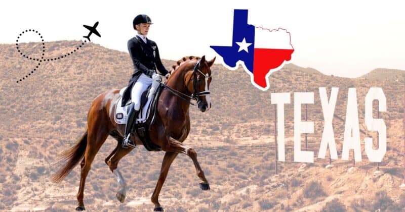 Howdy! Bettina Kendlbacher (ST) und Don Alfredo AWÖ fliegen zum Weltcup-Finale nach Texas! © EQWO.net | Petra Kerschbaum