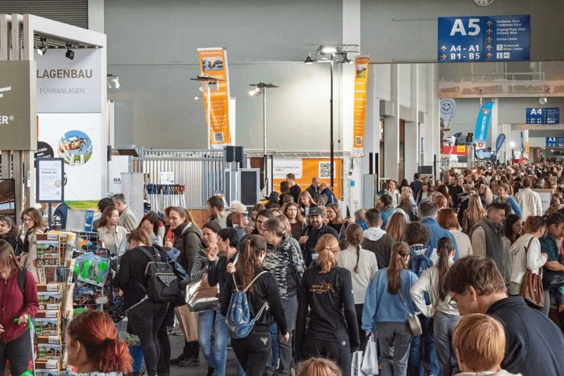 Die Pferdemesse "Pferd Bodensee" findet alle zwei Jahre in Friedrichshafen statt. © Pferd Bodensee