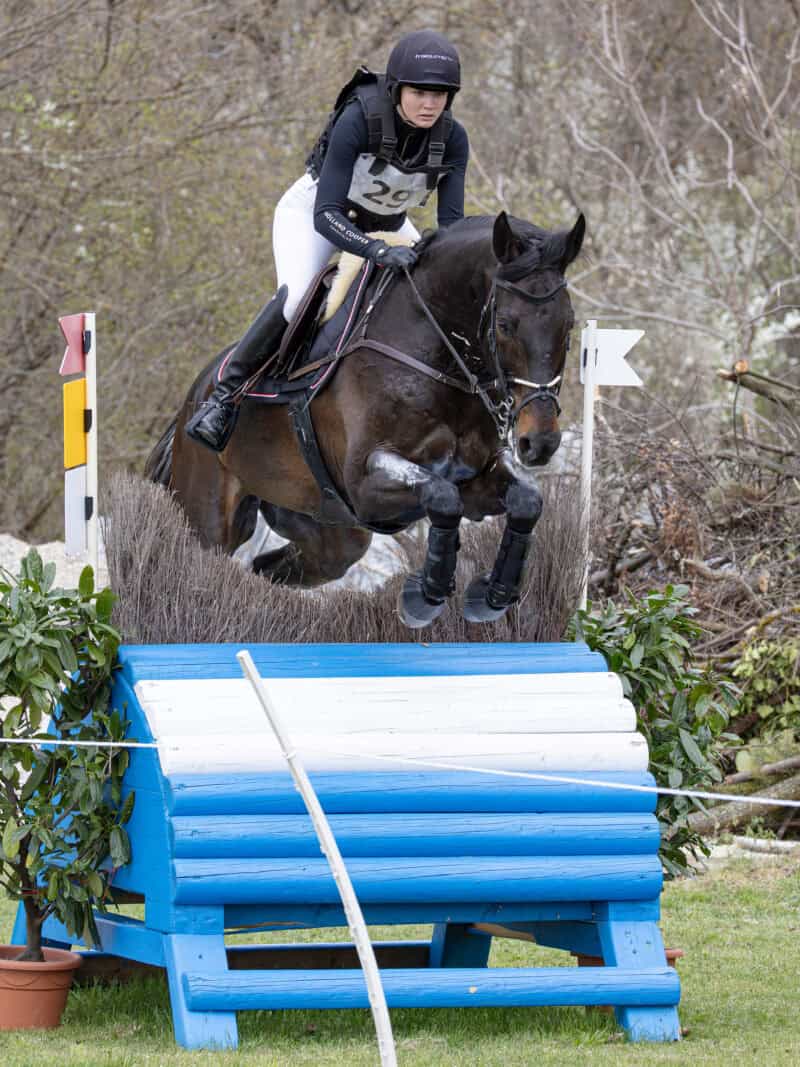 Lea Siegl und Van Helsing P auf dem Weg zum Sieg in der CCI4*-S im Akademiepark der Theresianischen Militärakademie Wr. Neustadt. © Michael Graf