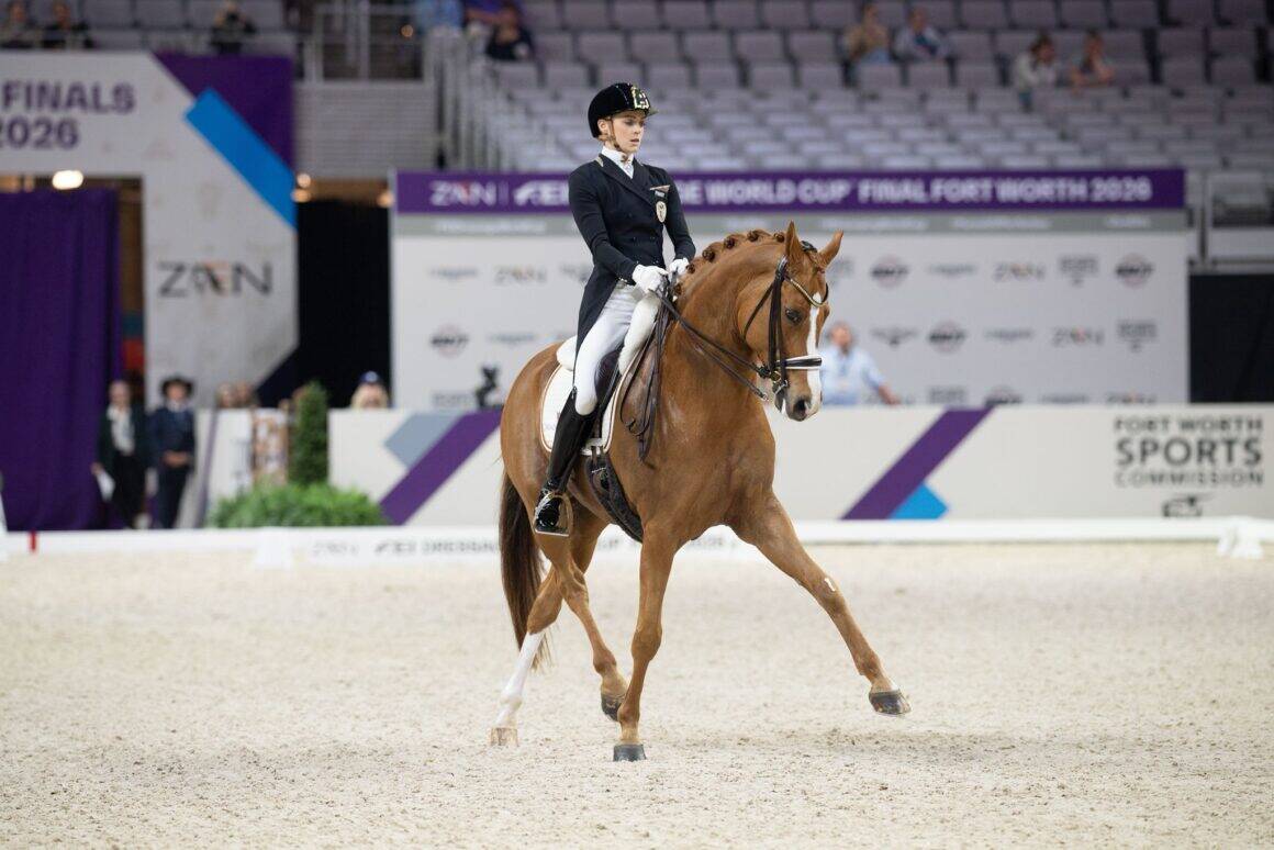 Bettina Kendlbacher (ST) und Broadmoars Don Alfredo AWÖ verpassen beim Weltcup-Finale knapp die Top-Ten. © Arnd Bronkhorst