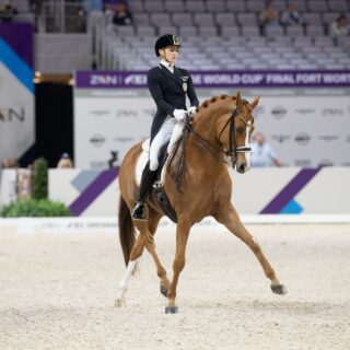 Bettina Kendlbacher (ST) und Broadmoars Don Alfredo AWÖ verpassen beim Weltcup-Finale knapp die Top-Ten. © Arnd Bronkhorst