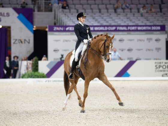 Bettina Kendlbacher (ST) und Broadmoars Don Alfredo AWÖ verpassen beim Weltcup-Finale knapp die Top-Ten. © Arnd Bronkhorst