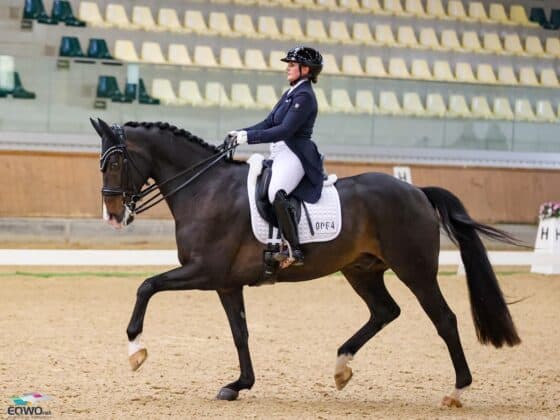 Diana Porsche (S) und Dahoud haben 2026 viel vor. Ob sie es zur WM nach Aachen schaffen? © EQWO.net | Petra Kerschbaum