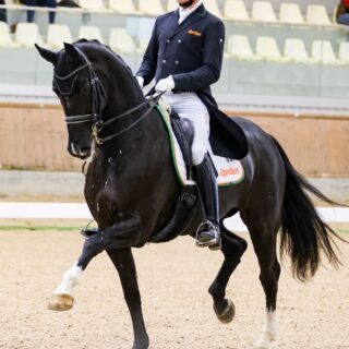 Peter Gmoser (B) Dante's Daiquiri © EQWO.net | Petra Kerschbaum