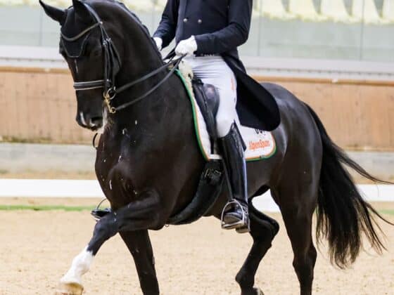 Peter Gmoser (B) Dante's Daiquiri © EQWO.net | Petra Kerschbaum