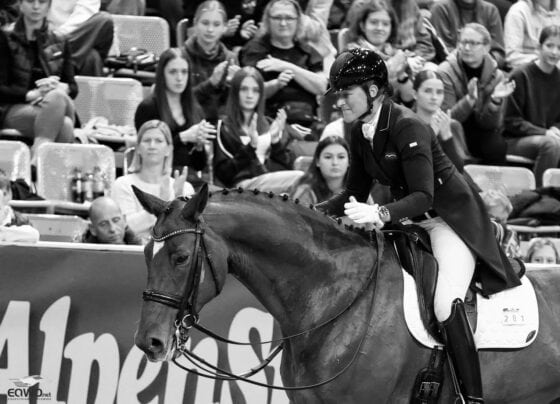 RIP Fürst Ferdinand zur Fasanenhöhe. Renate Voglsangs Fünf-Sterne-Partner starb im Alter von nur 17 Jahren an einer Auto-Immunerkrankung. © EQWO.net | Petra Kerschbaum