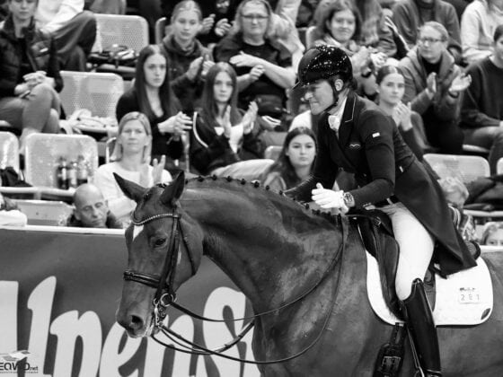 RIP Fürst Ferdinand zur Fasanenhöhe. Renate Voglsangs Fünf-Sterne-Partner starb im Alter von nur 17 Jahren an einer Auto-Immunerkrankung. © EQWO.net | Petra Kerschbaum