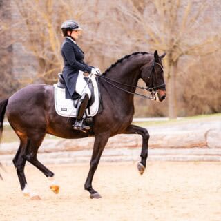 Diana Porsche (S) debütiert mit ihrem Lord Franklin in der Königsklasse. © Pictures by Helene