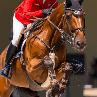 Alessandra Reich wird vorläufig für die kommenden drei Monate vom Turniersport ausgeschlossen. ©️ Arnd Bronkhorst