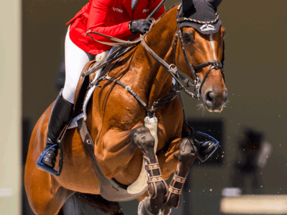 Alessandra Reich wird vorläufig für die kommenden drei Monate vom Turniersport ausgeschlossen. ©️ Arnd Bronkhorst