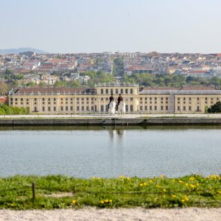 Spanische Hofreitschule Lipizzaner Schloss Schönbrunn