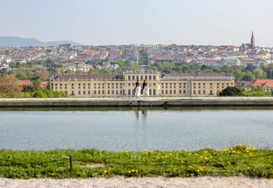 Spanische Hofreitschule Lipizzaner Schloss Schönbrunn