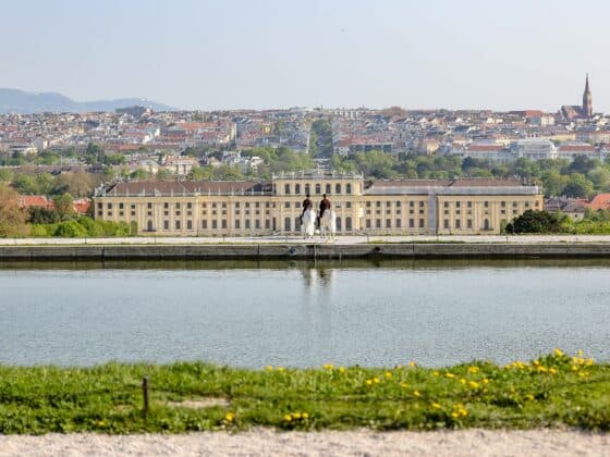 Spanische Hofreitschule Lipizzaner Schloss Schönbrunn