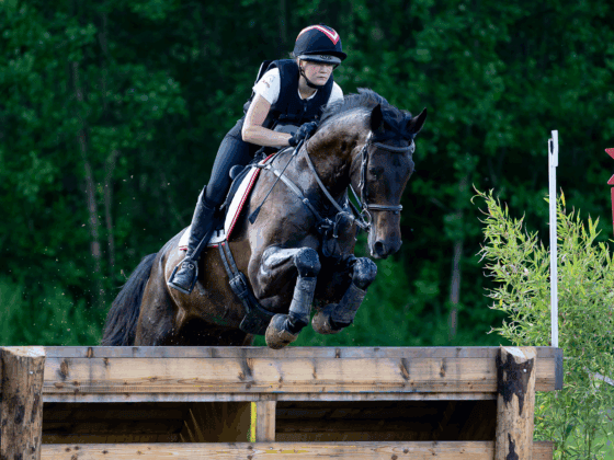 Lea Siegl und Van Helsing P werden ebenfalls im Akademiepark in Wr. Neustadt live zu bewundern sein. © Andreas Schnitzlhuber