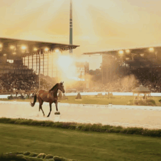 100 Tage bis zur Weltmeisterschaft in Aachen: Das Video zum Countdown sorgte für Aufregung. © Aachen 2026