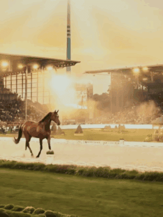 100 Tage bis zur Weltmeisterschaft in Aachen: Das Video zum Countdown sorgte für Aufregung. © Aachen 2026
