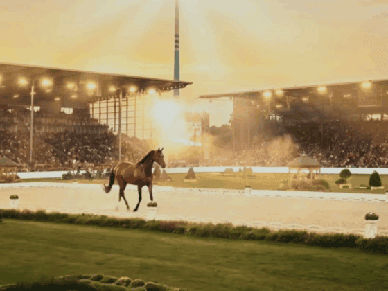 100 Tage bis zur Weltmeisterschaft in Aachen: Das Video zum Countdown sorgte für Aufregung. © Aachen 2026