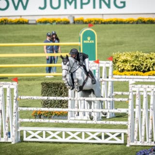 Springreiten mit Pferd bei EQWO.net, Fokus auf K.