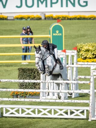 Springreiten mit Pferd bei EQWO.net, Fokus auf K.