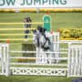 Springreiten mit Pferd bei EQWO.net, Fokus auf K.