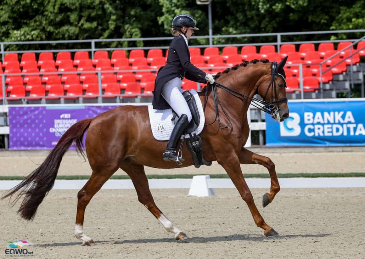 Die österreichische Equipe räumt beim CDI Olomouc ordentlich ab! © EQWO.net | Petra Kerschbaum